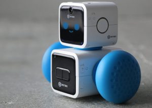 ARTIBO robot