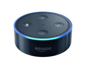 Amazon Echo Dot