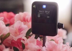 AquaMose Plant Automatic Watering System