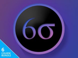 Lean Six Sigma Black Belt