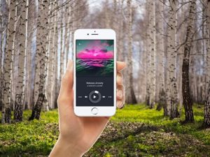 Mindbliss Meditation Lifetime Subscription