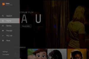 Netflix