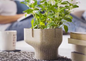 Alphapot Plant Pot Made From Food Waste Hits Kickstarter