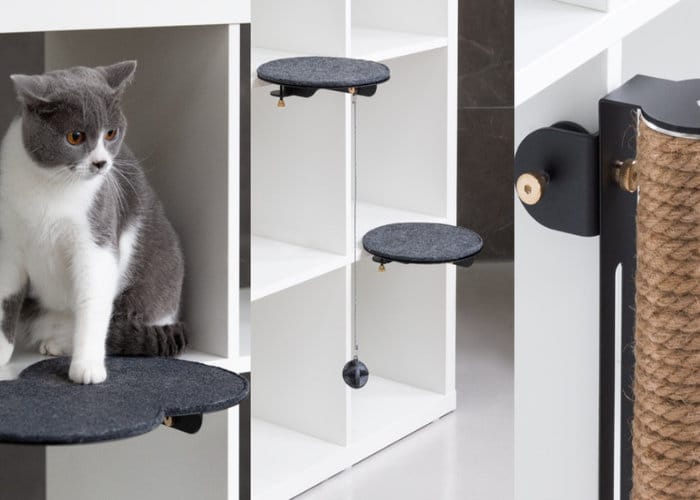 CATSSUP Modular Cat Playground