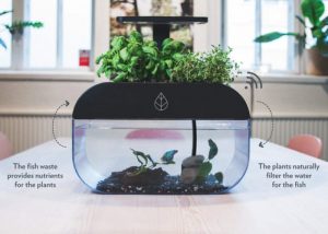EcoGarden Smart Interactive Ecosystem