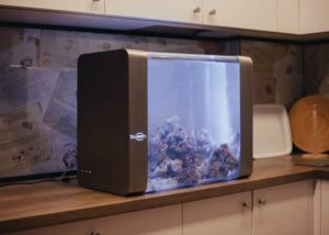 Smart aquarium