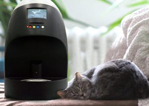 Treat Your Pet Remotely Using The iTreater