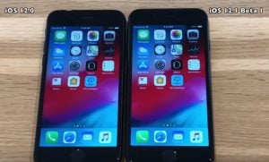 iOS 12.1 vs iOS 12