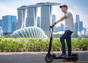 36V Mustang GX Pro electric scooter