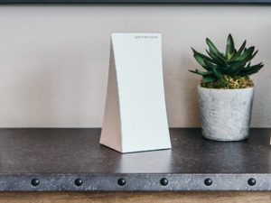Gryphon: The Ultimate Secure Router