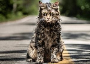 Pet Sematary 2019 movie