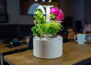 Plantone smart mini indoor garden