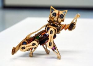 Robotic kit