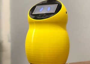 Twinky Arduino robot assistant