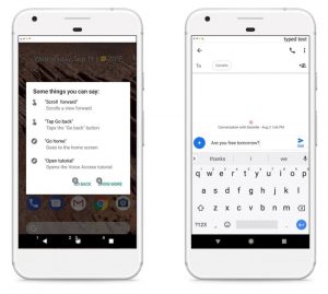 Voice Access