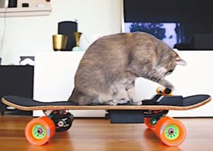 DIY electric skateboard project