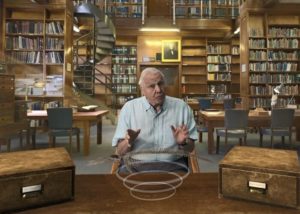 David Attenborough’s VR experience Hold the World