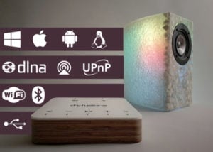 d-fusione unique handcrafted speakers