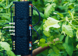hydroponics system