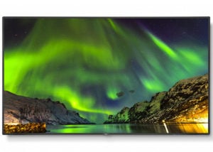 New NEC 65 inch Professional 4K UHD displays