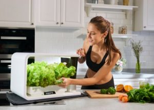 aspara Smart Indoor Garden