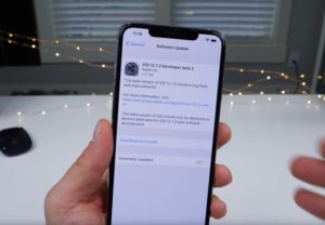 iOS 12.1.3 beta 2