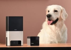 Petcube 2