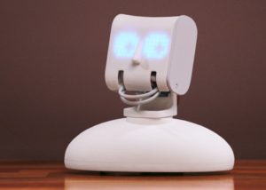 Programmable robot