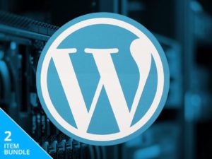WordPress Build & Host Bundle: Lifetime Subscription