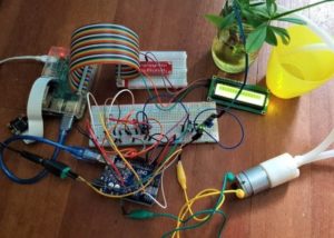 Raspberry Pi smart garden monitor