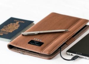 Skylight travel battery pack