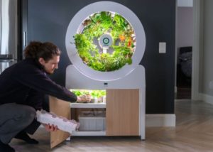 Smart garden
