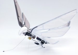 MetaFly RC biomimetic creature