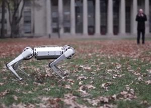 Mini Cheetah Robot