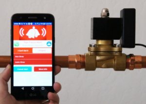 Trident smart water valve