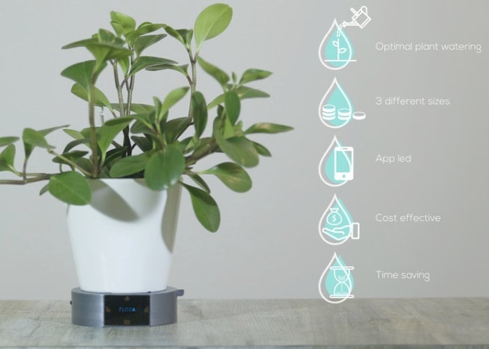 Flora smartphone application