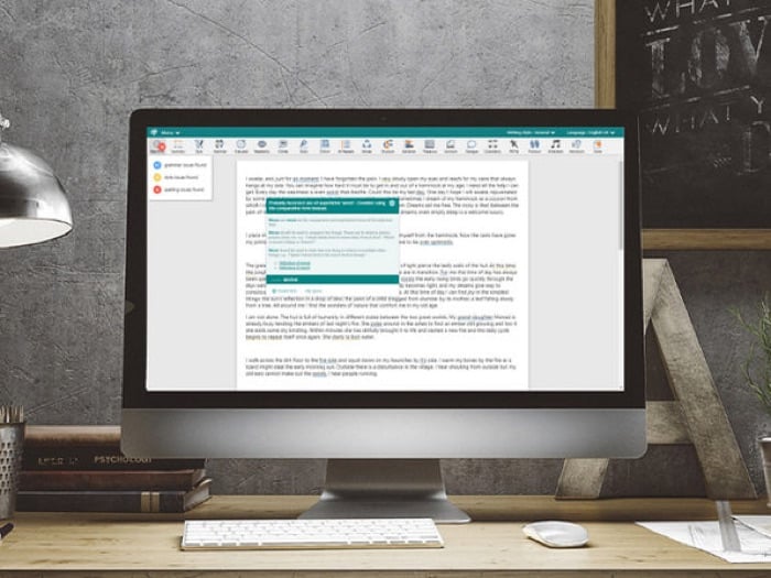 ProWritingAid Premium