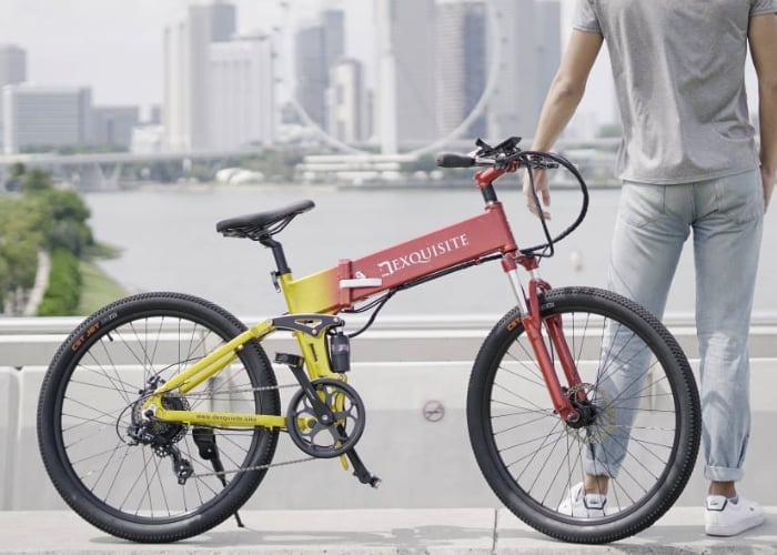 Dexquisite DX electic bike
