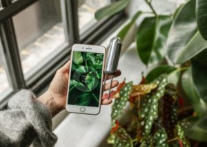 FYTA Beam smart planet sensor