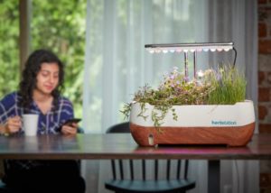 Grow fresh herbs at home