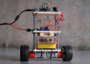 Insect piloted self-balancing robot