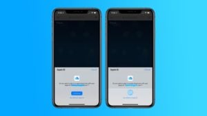 Face ID and Touch ID sign in for iCloud
