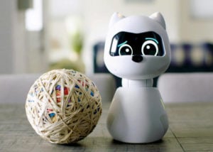 Kiki robot companion