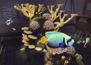 Undersea AR experience