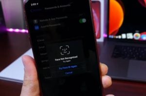 iOS 13