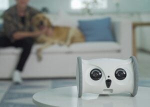 Pet robot