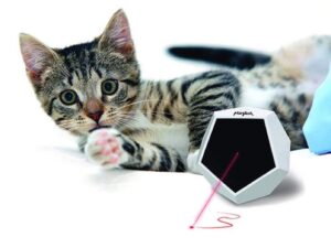 Playdot Laser Toy + Playroll Self-Spinning Ball Bundle