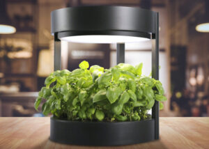 indoor garden