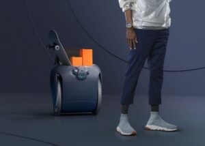 Gita cargo robot