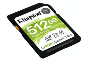Kingston microSD and SD Card